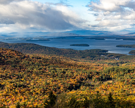 Fall Foliage